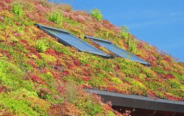 Bilsby Field living roof systems